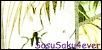 poze - Sakura - Sakura Haruno